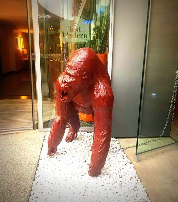 figura goryl duży