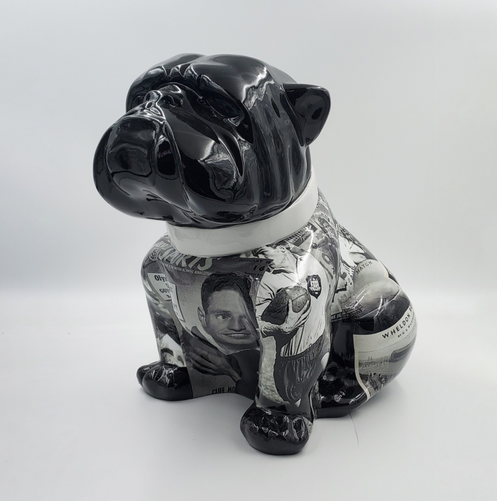 pies Bulldog Angelo 40cm - Rugby