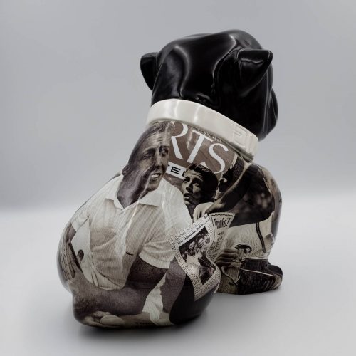 Bulldog Angelo 40cm - Tennis