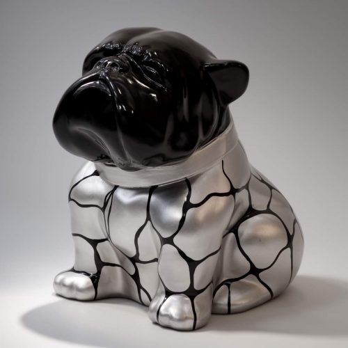 pies Bulldog Angelo 60cm - łaty