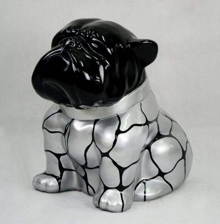 pies Bulldog Angelo 60cm - łaty