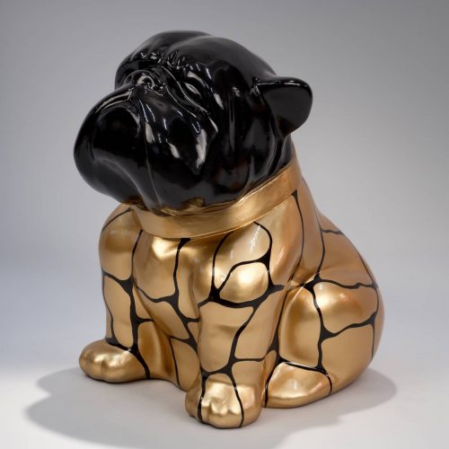 pies Bulldog Angelo 60cm - łaty