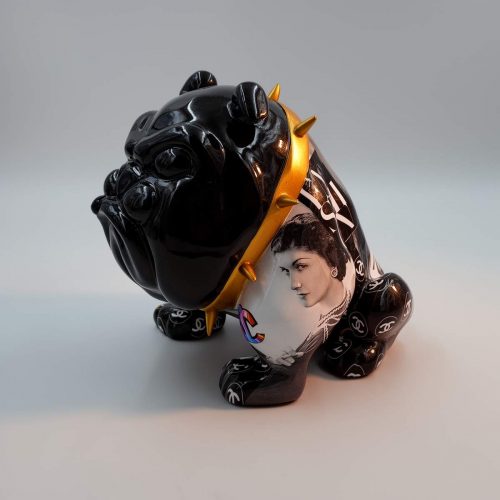 pies Bulldog Avella 55cm - Coco