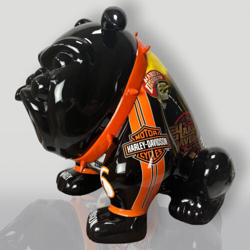 Pies bulldog avella 55 cm - harley 2