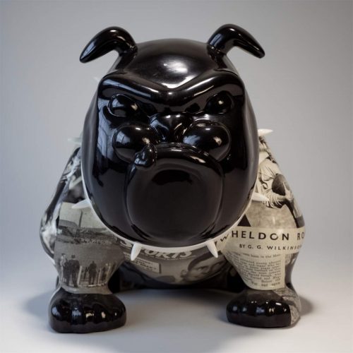 pies Bulldog Avella 55cm - Rugby