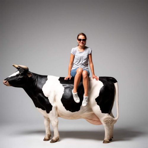 Figura krowa - makieta 3D naturalnej wielkości