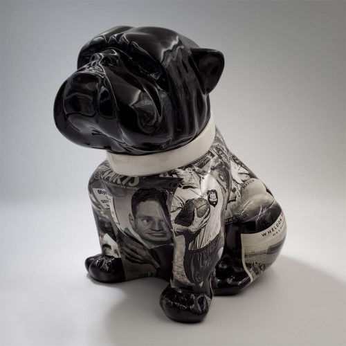 pies Bulldog Angelo 60cm - Rugby