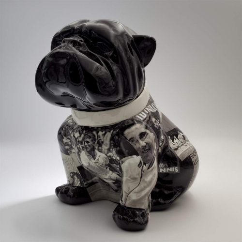 Bulldog Angelo 60cm - Tennis